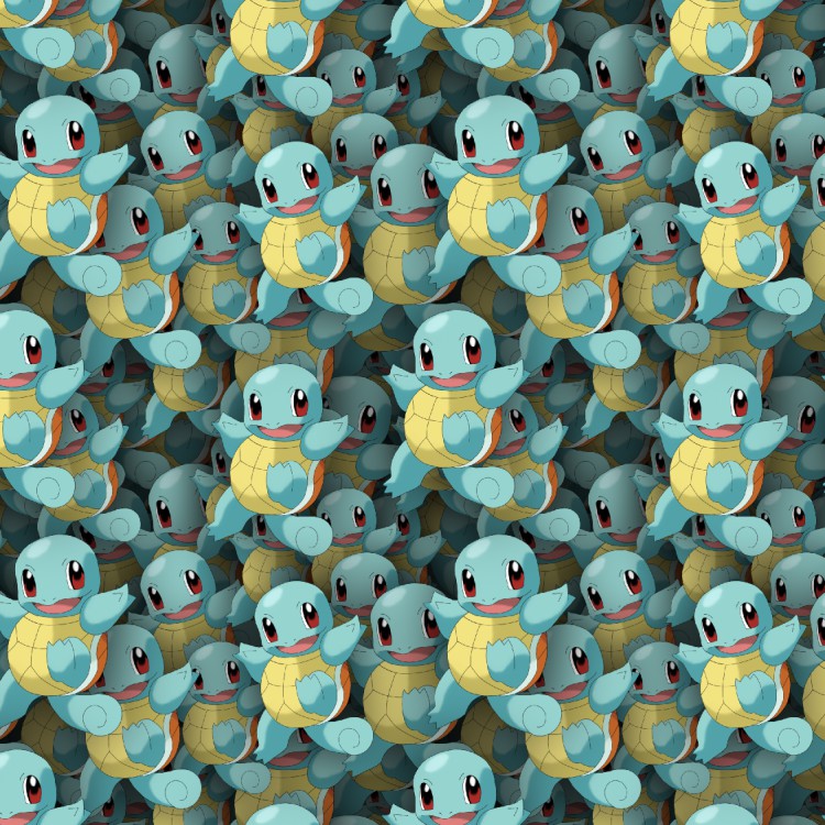 Pokemon Squirtle 24