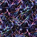 Polarized-Light-Micrograph.jpg
