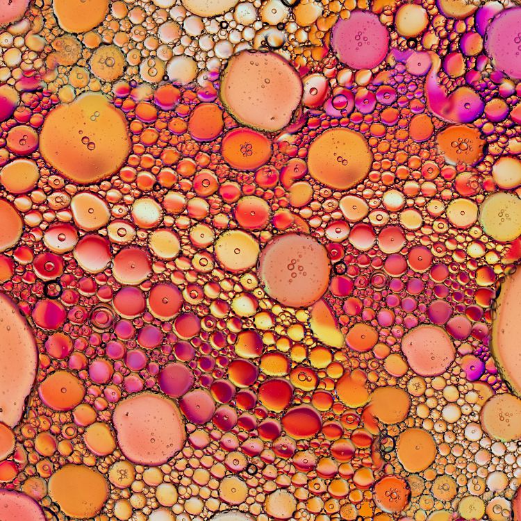 Polarized Specimen