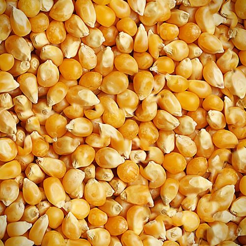 Popcorn 24
