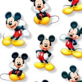 Positively-Mickey-22-thumb