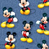 Positively-Mickey-23-thumb