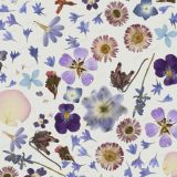 Pressed-Flowers-22