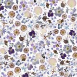 Pressed-Flowers-27