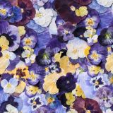 Pressed-Purple-Fowers