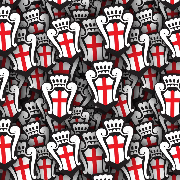 Pro Vercelli