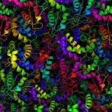 Protein-Structure