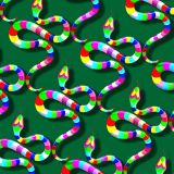 Psychedelic-Snake-Army23
