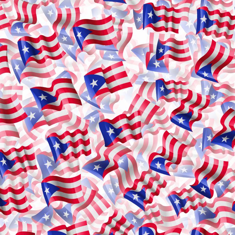 Puerto Rico Flags 24