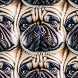 Pug-Face