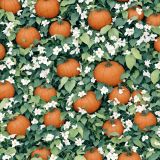 Pumpkin-Patch-42