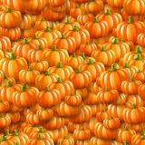 Pumpkins-25