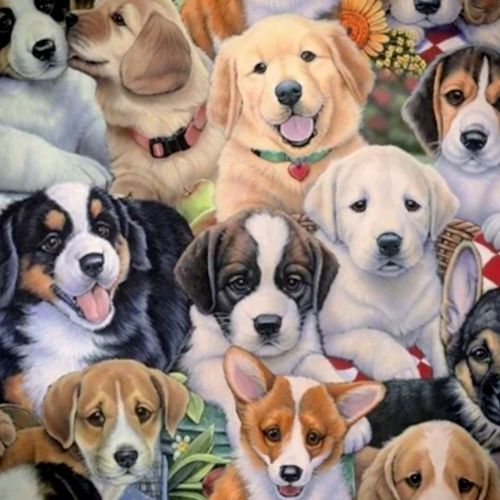 Puppies 23