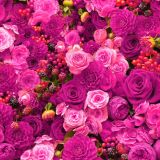 Purple-Flowers-Background-thumb
