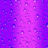 Purple-Rain-2-1