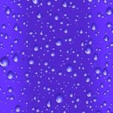 Purple-Rain