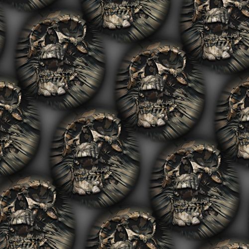 Push Through Skulls 22