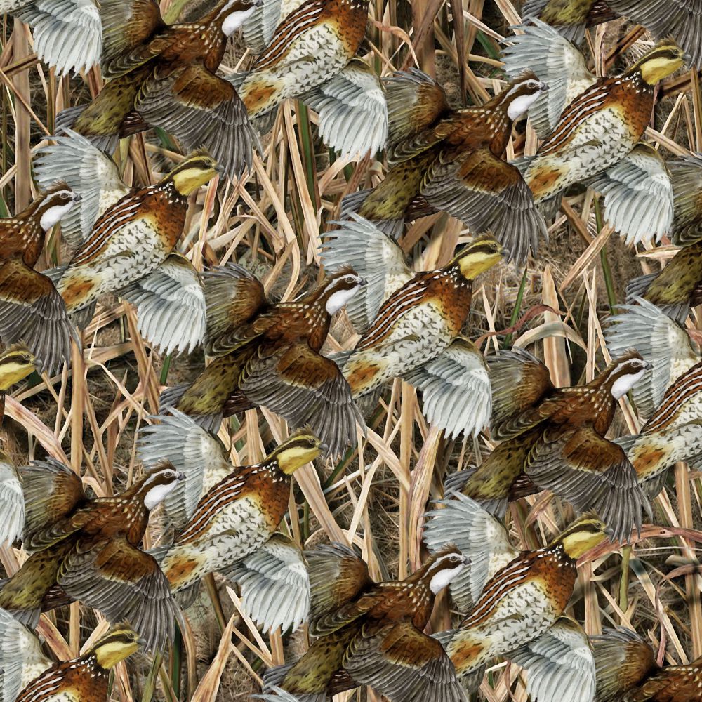 Quail Covey 25