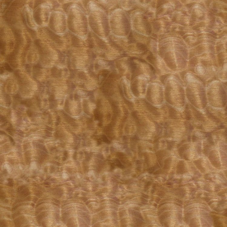 Quilted Maple Wood 23