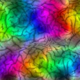 Rainbow-Brains