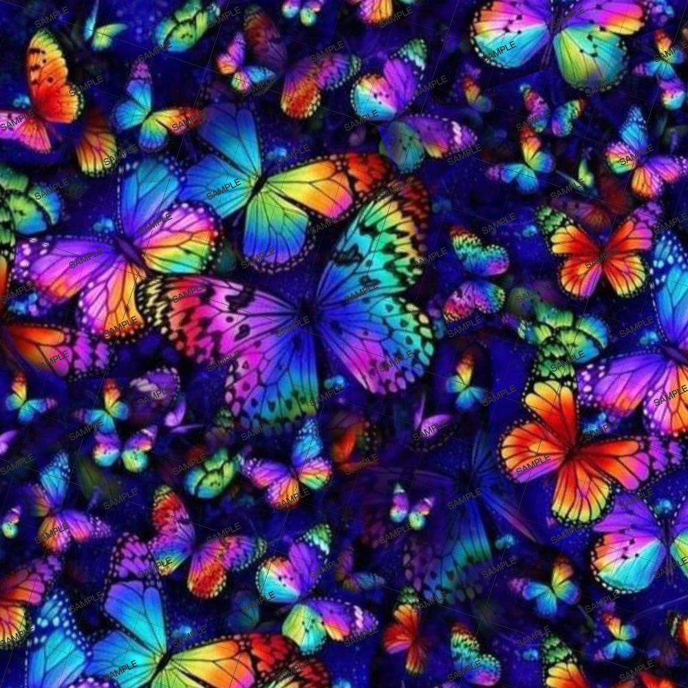 Rainbow Butterflies 23
