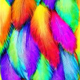 Rainbow-Feather-Plume