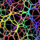 Rainbow-Framework-23
