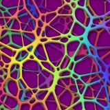 Rainbow-Framework-24