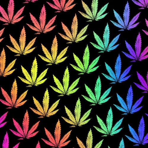 Rainbow Ganja 22