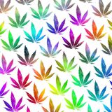 Rainbow-Ganja-24