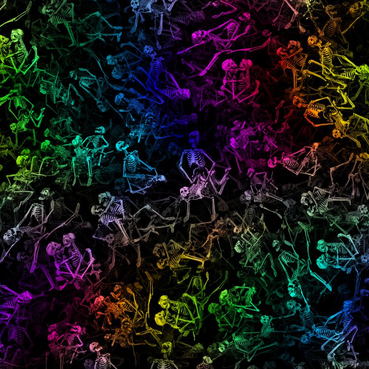 Rainbow Kama Sutra Skeleton