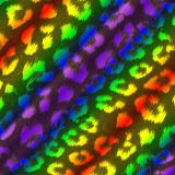 Rainbow-Leopard-23