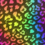 Rainbow-Leopard-24