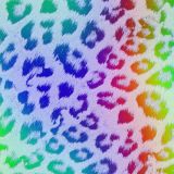 Rainbow-Leopard-242