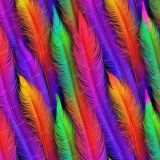 Rainbow-Neon-Feathers
