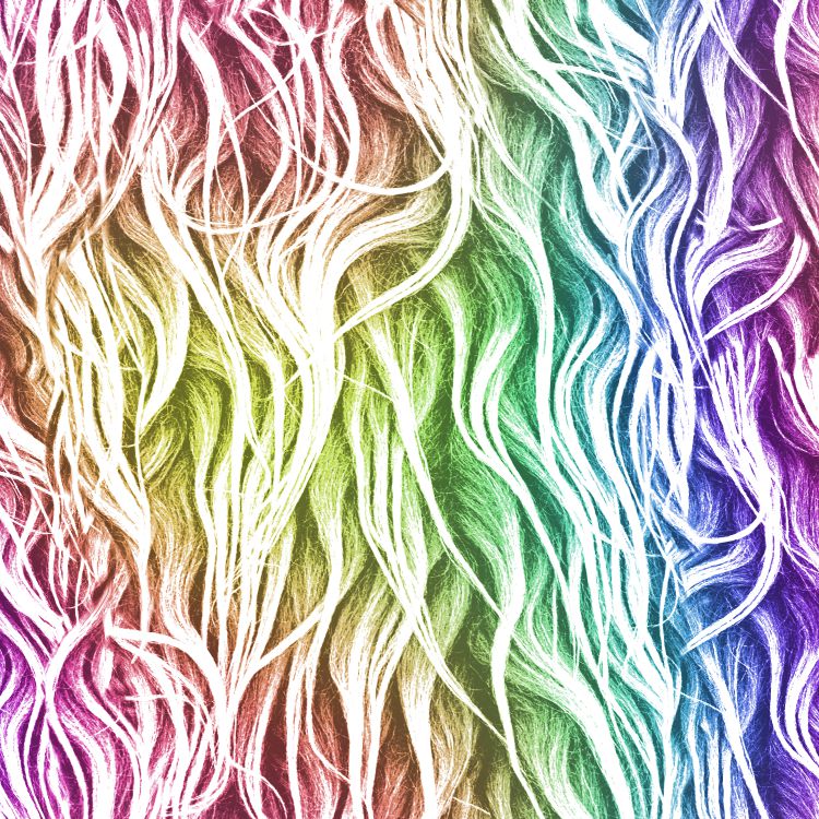 Rainbow Sasquatch Fur 24