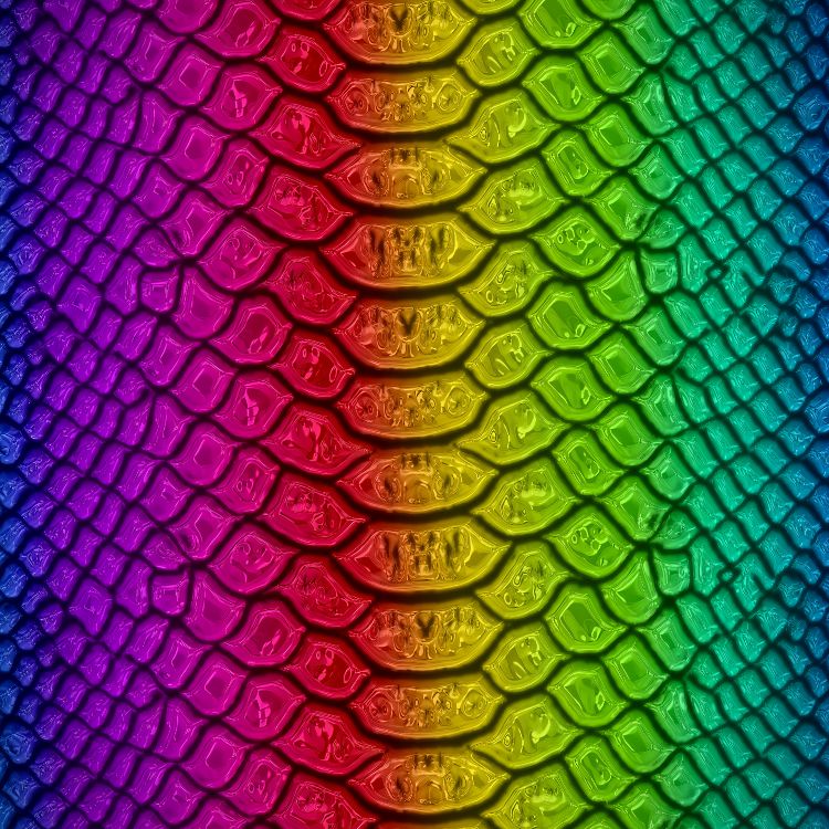 Rainbow Snake Skin 25