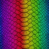 Rainbow-Snake-Skin-25