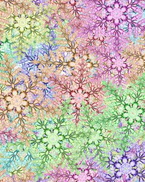 Rainbow Snow 22