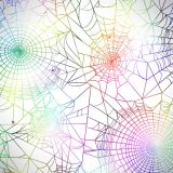 Rainbow-Spider-Web-22