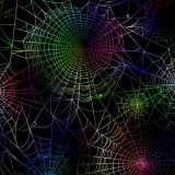 Rainbow-Spider-Web-23
