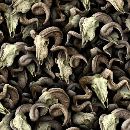 Ram Skulls