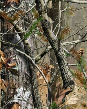 IG AP Fall Camouflage