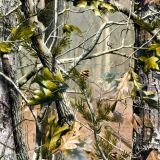 Real-Tree-APG-Camo.jpg