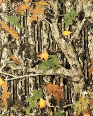 Real Tree Autumn Leaf