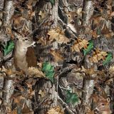 Real-Tree-Deer-in-the-Woods.jpg