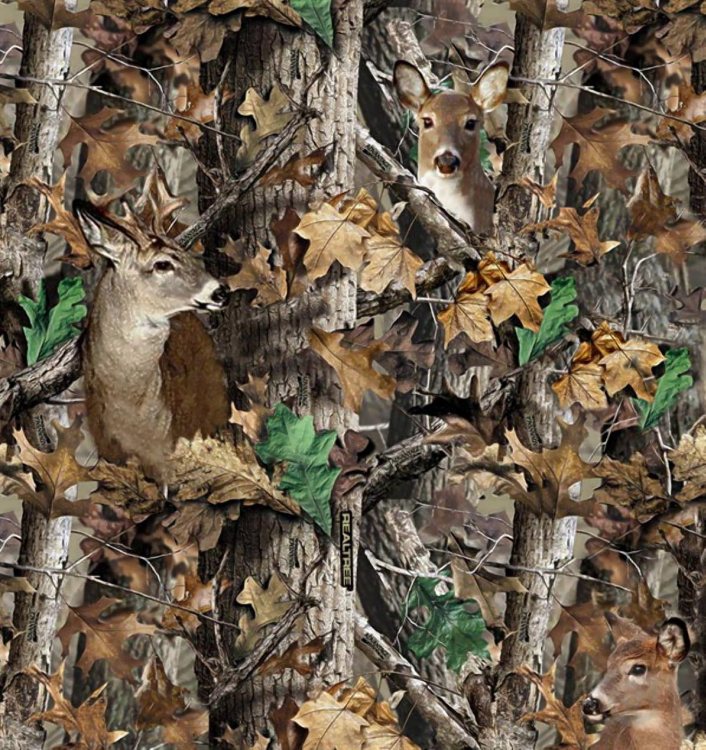 IG Deer in the Woods Camouflage