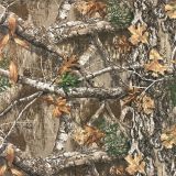 Real-Tree-Edge.jpg