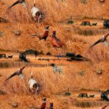 Real-Tree-Fields-of-Gold-Camo.jpg