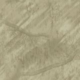RealTree-Background-Graphics.jpg